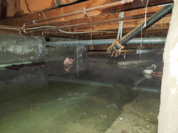 Best Fire Damage Restoration  in Frederickson, WA