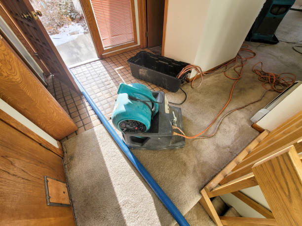Best Water damage restoration insurance claims  in Frederickson, WA