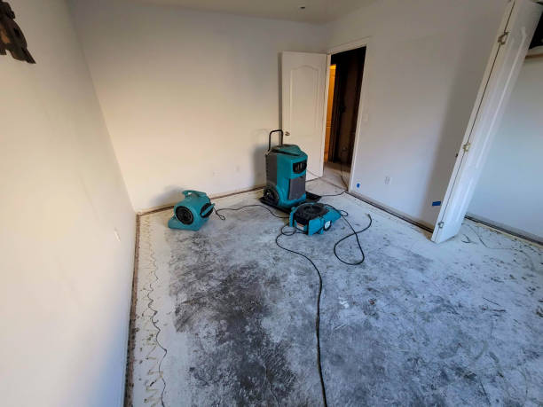 Best Water damage restoration near me  in Frederickson, WA