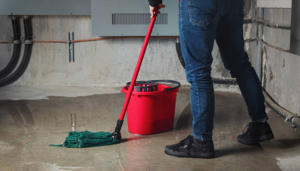 Best Residential water damage restoration  in Frederickson, WA
