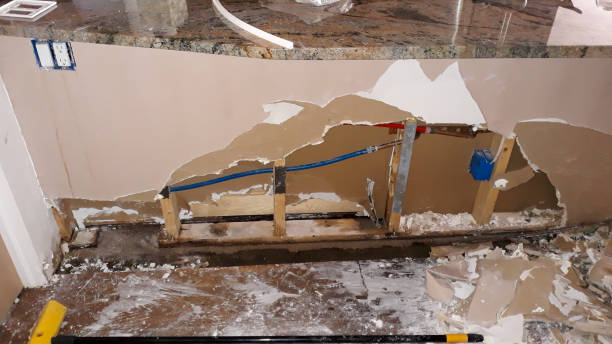 Best Water damage contractors near me  in Frederickson, WA