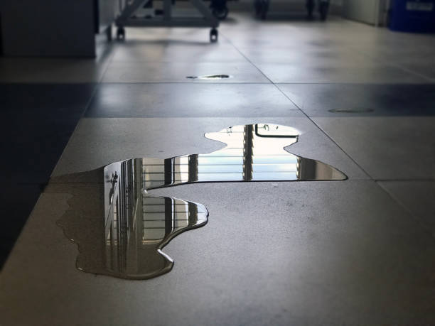 Best Water damage cleanup near me  in Frederickson, WA