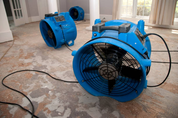 Best Flooded house restoration  in Frederickson, WA